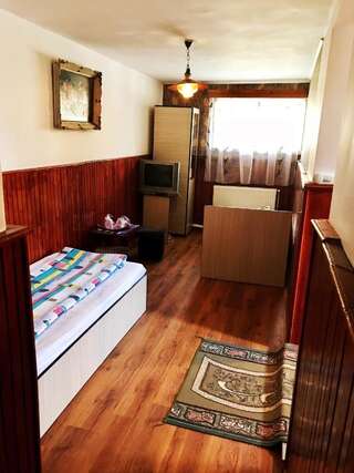 Мотели Motel Hanul Balota Дробета-Турну- Севери Cемейный номер с собственной ванной комнатой-1