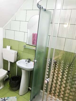 Мотели Motel Hanul Balota Дробета-Турну- Севери Cемейный номер с собственной ванной комнатой-2