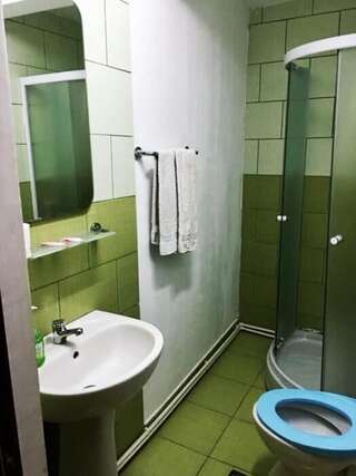 Мотели Motel Hanul Balota Дробета-Турну- Севери Двухместный номер с 2 отдельными кроватями и собственной ванной комнатой-1
