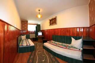 Мотели Motel Hanul Balota Дробета-Турну- Севери Двухместный номер с 2 отдельными кроватями и собственной ванной комнатой-2